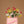 Load image into Gallery viewer, VELA